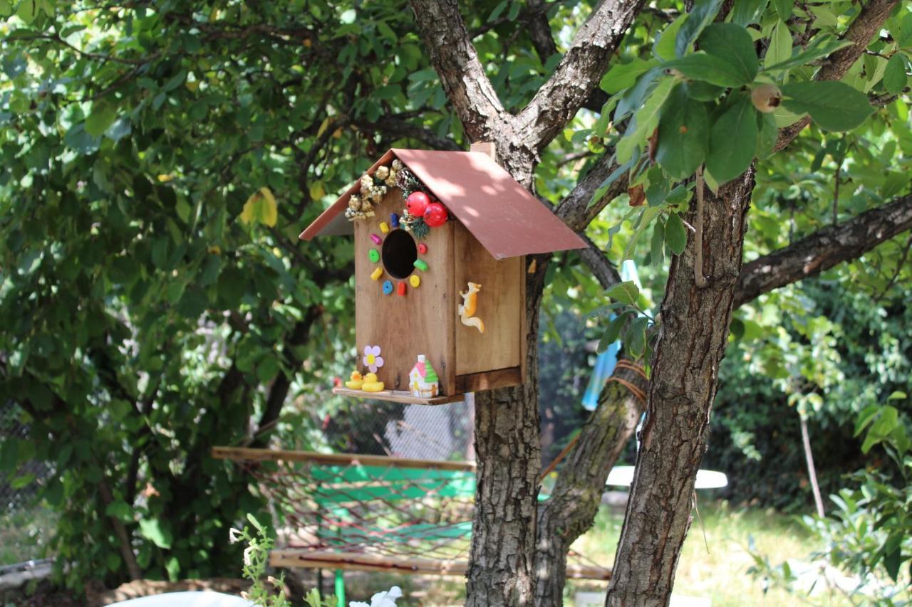 Guest house poligloti Telavi Extérieur photo